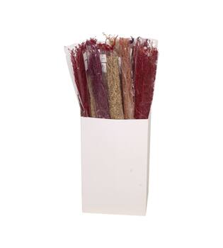 Alfonso grass nature 15x5x100cm 100gr