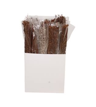 Palma grass nature 20x10x65cm 100gr