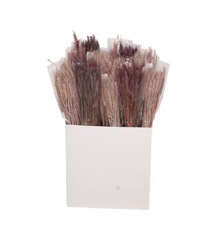 Wheat grass nature 20x10x65cm 100gr