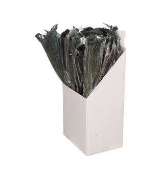 Plume nature 70x10x6.5cm