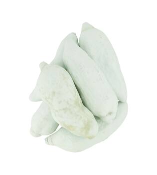 Baobab nature 12x12x20cm 6pc