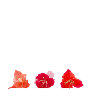 Flower paper with hanger 18x18x33cm C/3