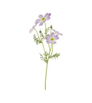 Branch cosmos artificial 60x14x10cm