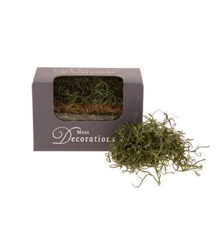 Tillandsiamoss 30gr in box - Green