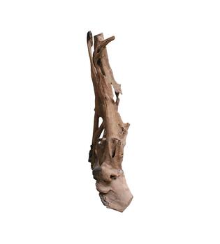 Root teak wood 70x50x155cm