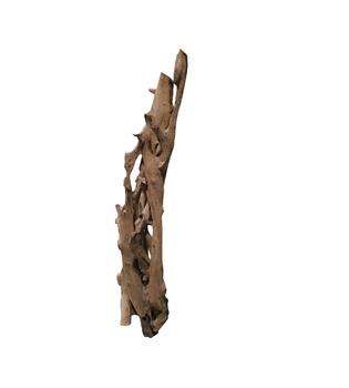 Root teak wood 70x50x155cm