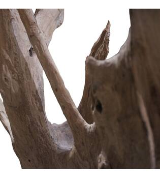 Root teak wood 70x50x155cm