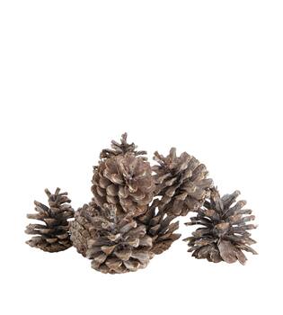 Pinecone 200gr nature 29x17x5.5cm - White
