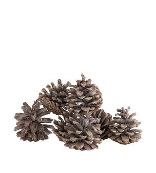 Pinecone 200gr nature 29x17x5.5cm - White