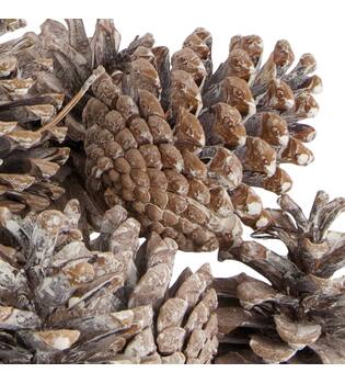 Pinecone 200gr nature 29x17x5.5cm