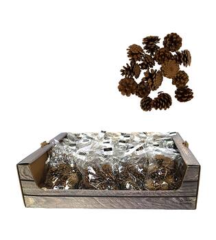 Display 200gr pinecone 29x17x5.5cm - Natural