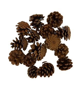 Display 200gr pinecone 29x17x5.5cm - Natural