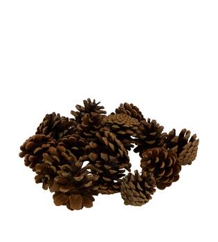 Display 200gr pinecone 29x17x5.5cm