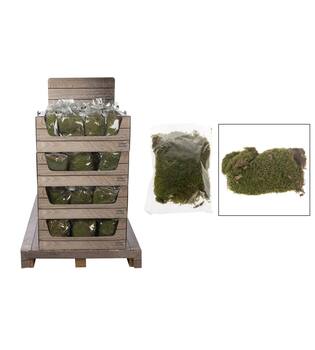 Moss flat 100gr nature 35x23x35cm - Natural