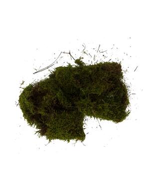 Moss flat 100gr nature 33x17x6cm - Natural