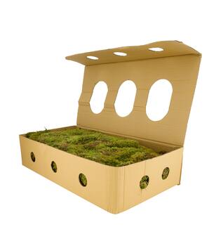 Moss flat 1kg in box nature 58x30x13cm - Natural
