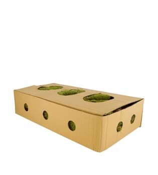 Moss flat 1kg in box nature 58x30x13cm