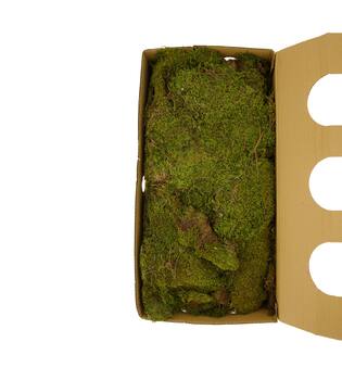 Moss flat 1kg in box nature 58x30x13cm