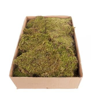 Moss flat 2kg in box moss 59x29x19cm - Natural