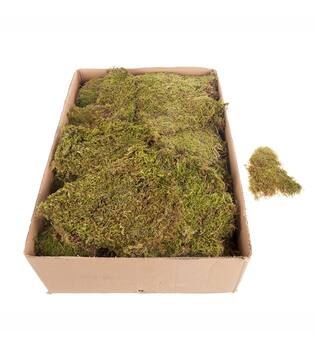 Moss flat 2kg in box moss 59x29x19cm - Natural