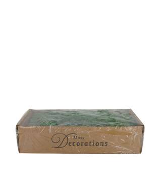 Moss 500gr nature 48x35x24cm