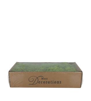 Mousse - 500gr - Naturel - 48x35x24cm - Vert