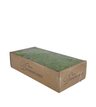 Mousse - 500gr - Naturel - 48x35x24cm - Vert