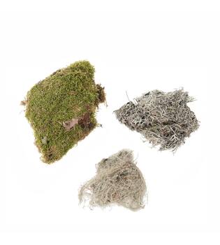 Moss mix 100gr nature 30x21x9cm - Natural