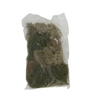 Moss mix 100gr nature 30x21x9cm - Natural