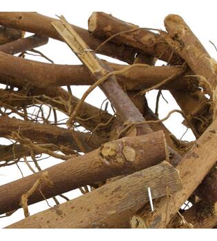Wreath cotton root wood 28x8x28cm - Natural