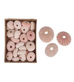 Pink Urchin 36pc in box 15x20x6cm