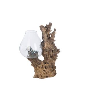 Root teak wood with glass 60x45x92cm - Natural