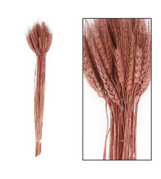 Wheat grass nature 60-65cm 100gr - Pink