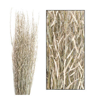 Saras branch 110cm 100gr - Green