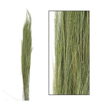Broom grass nature 90-105cm 100gr