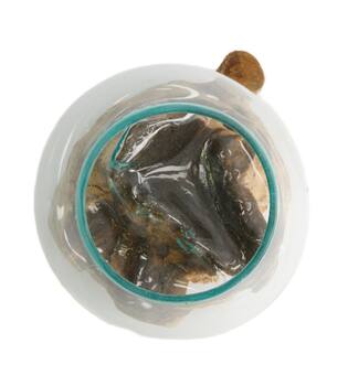 Root teak wood with glass 20x20x20cm - Natural