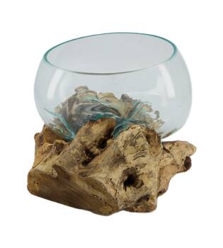 Root gamal wood with glass 33x23x18cm