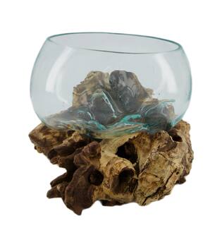Root gamal wood with glass 33x23x18cm