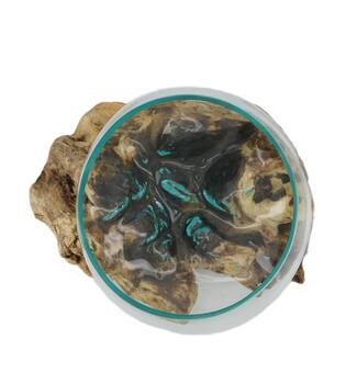 Root gamal wood with glass 33x23x18cm