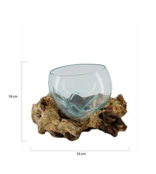 Root gamal wood with glass 33x23x18cm