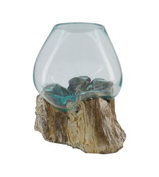 Root washed teak wood with glass 28x22x26cm - White