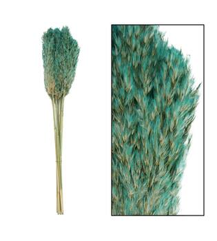 Wild reed plume Vinz nature 75cm 10pc