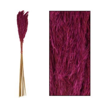 Wild reed plume Vinz nature 75cm 10pc - Red