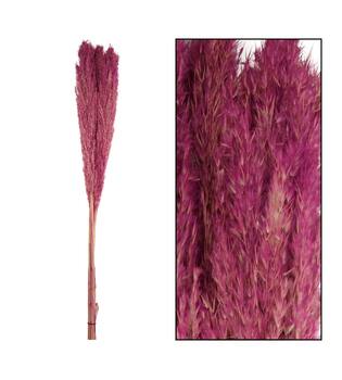 Wild reed plume Vinz 115cm 3pc