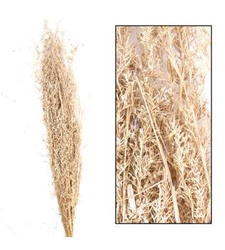 Alfonso grass nature 100cm 100gr