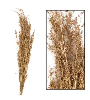 Alfonso grass nature 100cm 100gr