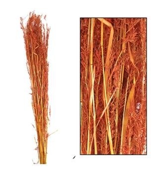 Alfonso grass nature 100cm 100gr