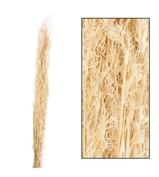 Alfonso grass nature 100cm 100gr