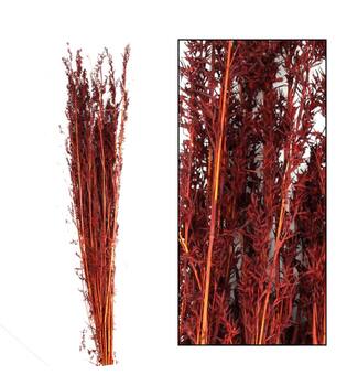 Alfonso grass nature 100cm 100gr