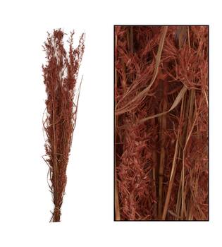Alfonso grass nature 100cm 100gr